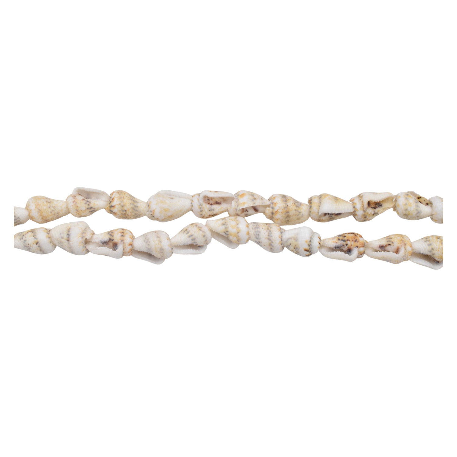 Natural Sea Shell Beads for Jewelry Making- 3 styles BeadsFindingDepot