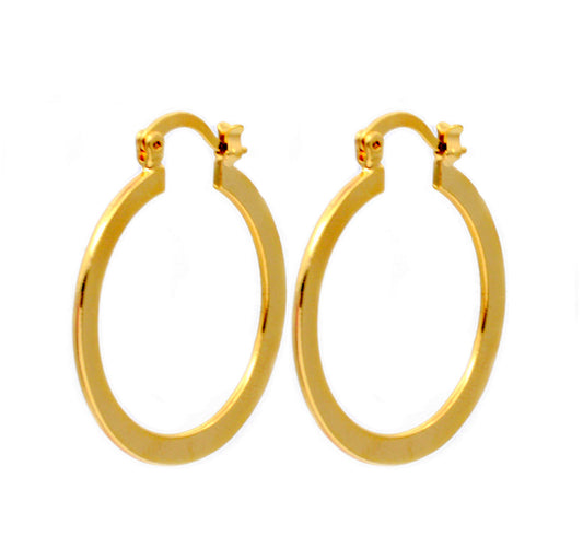 Gold hoop earrings with hinged clasp on white background.